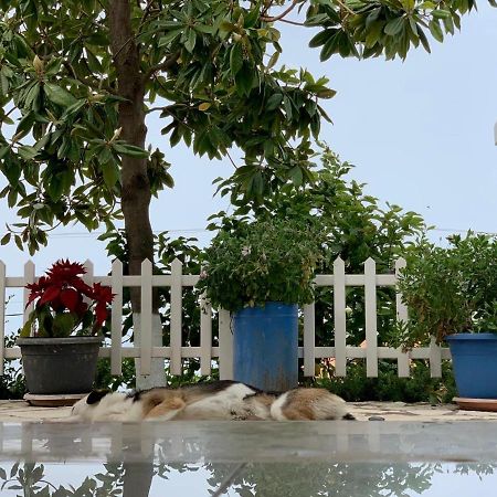 Holiday Home Ali Piqeras Exterior foto